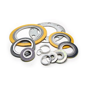ss 904l gasket 5